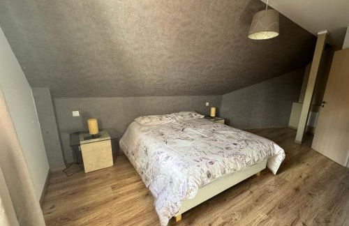 Le manoir Obernois - 5mn du centre - 10 pers. - Foto 9