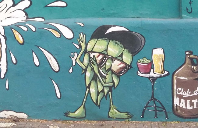 Visite guidée du quartier Pichincha - Photo 1