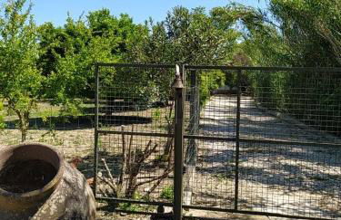 Quinta da Ponte das Hortas 3 - Foto 24