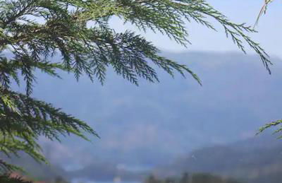 Gerês - Casa da Cabana - Foto 21