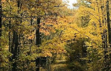 Group Lake Cabin with Ping Pong Table Loaded with Kayaks in Wisconsin - Foto 38