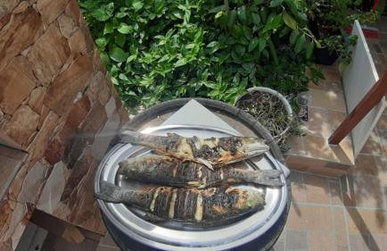 Studio Apartment Lile - Foto 5