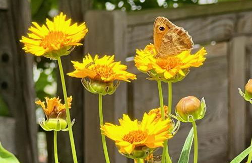 Ferienweingut Matthias Löwen - Foto 121