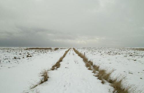 Lüttje Teihn - Foto 23