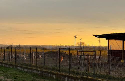 Casa Cecilia, Natura & Relax - Foto 53