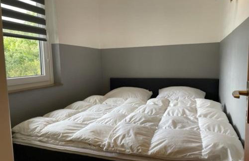 Ferienbutzen Harz Flieder - Foto 10