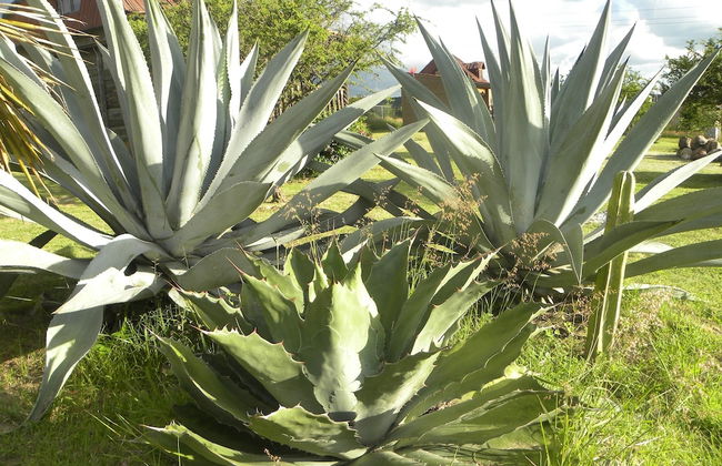 Vistahermosa - Foto 61