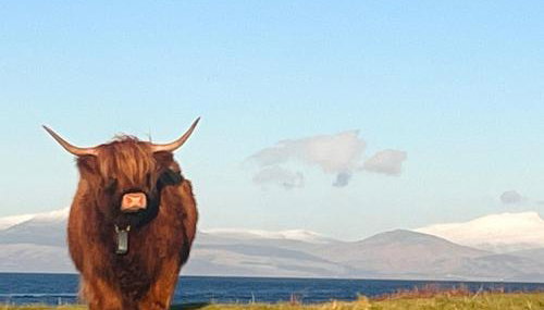 Panoramic Lookout, Davaar Island - Foto 5