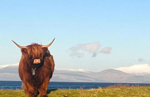 Panoramic Lookout, Davaar Island - Foto 5