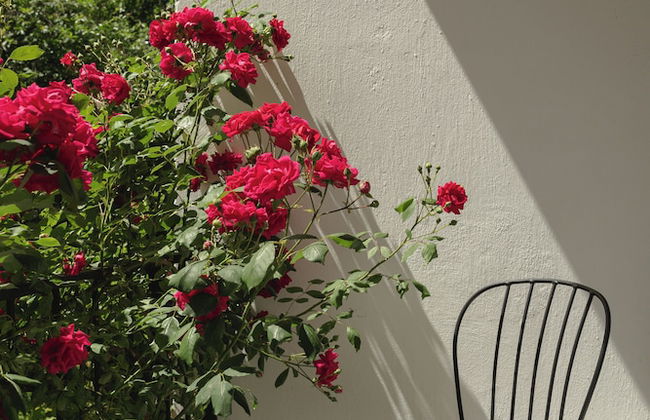 Doma Studios - Photo 17