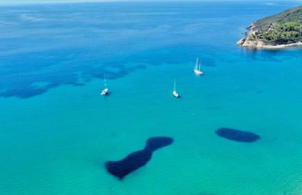 Villa Verde - Foto 47