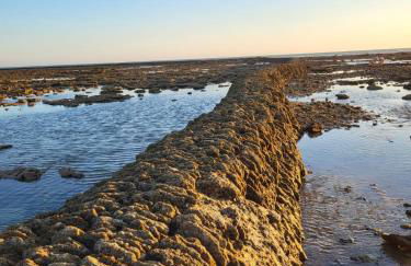 ÁTICOS ROTA Punta Candor - Foto 26