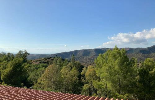 ROBY’s NEST - Foto 14