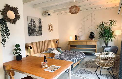 Gîte Mozart - Rez de jardin - Foto 13