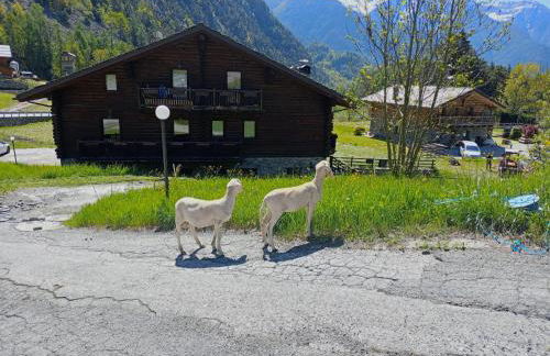 Agriturismo Les Hiboux - Foto 3