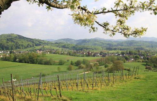 Familien-Appartement Schwarzwald bei Freiburg mit bis zu 4 Schlafzimmern - Foto 22