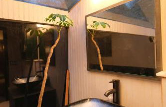 Vintage Lovers` Cabin with Jacuzzi & Lake Access - Foto 16