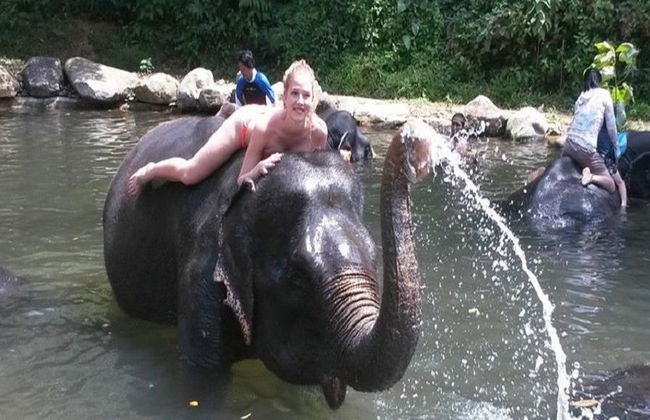 Half Day Elephant Bathing welfare center from Phuket - Foto 12