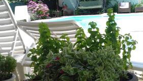 Apartments Gvacic - Foto 5