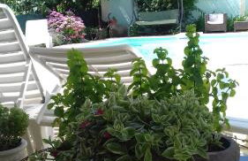 Apartments Gvacic - Foto 5