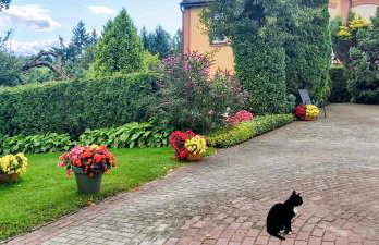 Dom Pod Gruszą - Foto 8