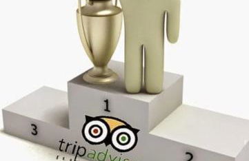 Appartement La Potinière - Foto 24