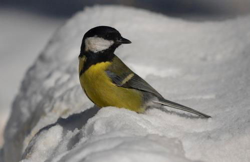 Casa del Altozano - Foto 51