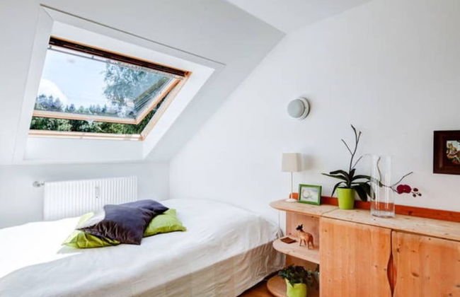 Ferienwohnungen Eder - Foto 9