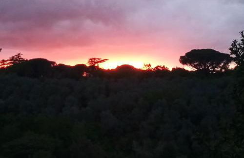 Casolare Toscano - Foto 6