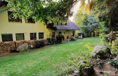 Ferienwohnungen Kremser bei Spiegelau Eppenschlag - Foto 28