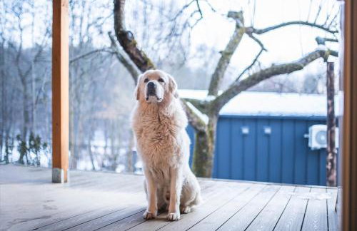 Domki pod Krakowem - Stare Sady - Photo 33