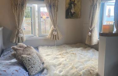 Willowbank shepherds hut - Foto 15