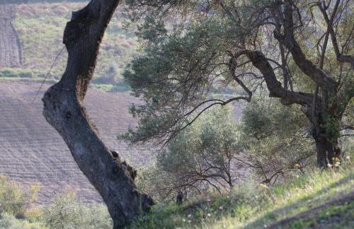 Agriturismo Vulcano - Foto 125