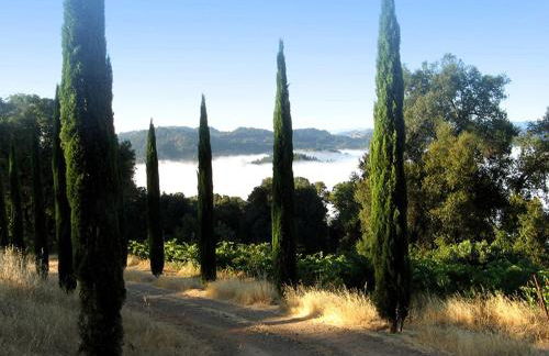 Vacation Rental with Spa and Pool on Winery near Healdsburg, California - Foto 20