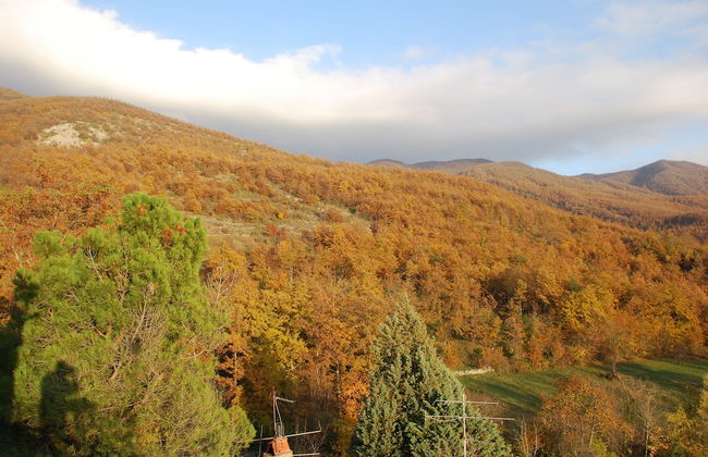 Alla Battuta - Foto 59