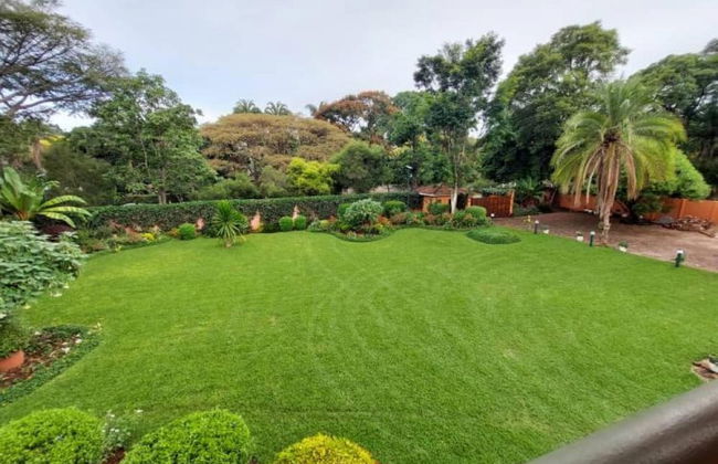 Modern House With Pool in Mount Pleasant - 2063 - Photo 6