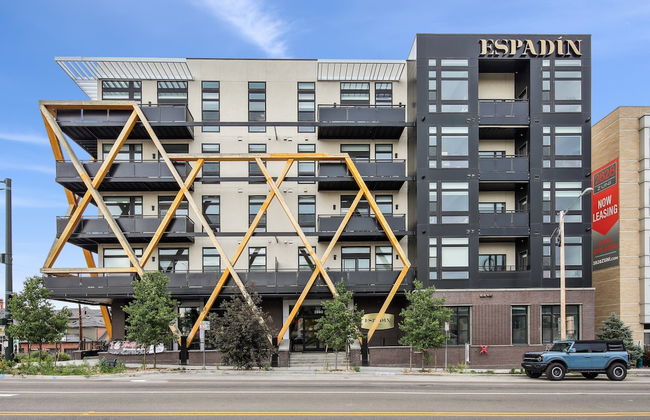 Bold & Elevated | Espadin LoHi - Foto 31