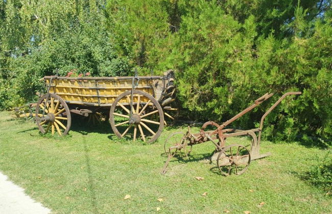 Apartment Čeliković - Foto 18