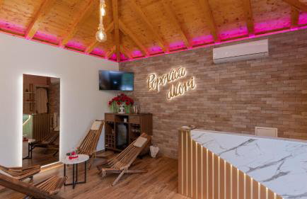 Beautiful Villa Popovica Dvori in Makarska - Foto 42