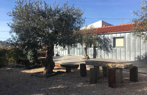 Casas do Mondego - Foto 1