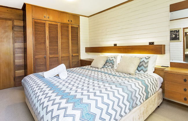 Grey Kangaroo- On Lake Jindabyne foreshore - Foto 6