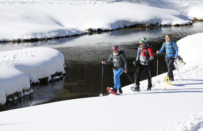 Superior #56 mit IR-Sauna&Sprudelbad - Foto 32