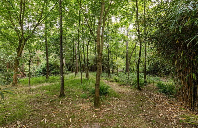 Villa De Hertsbergier - Foto 1