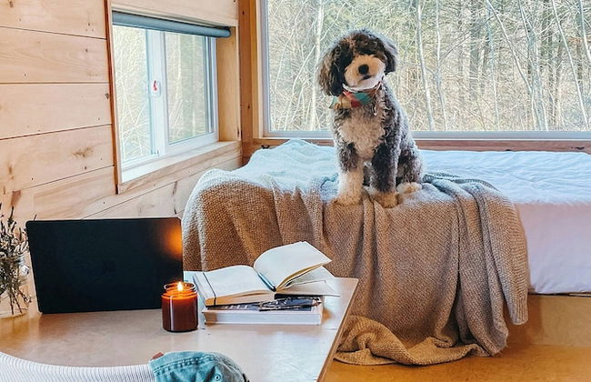 Postcard Cabins Homochitto, Outdoor Collection by Marriott Bonvoy - Foto 2