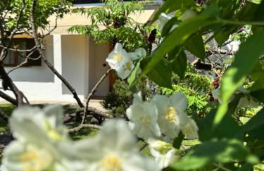 Casa degli Albicocchi - near Venice - whole house with garden and free Prkg - Foto 5