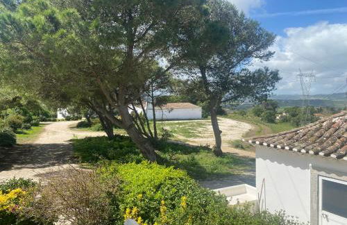 Quinta de Cima,No campo é Assim - Foto 29