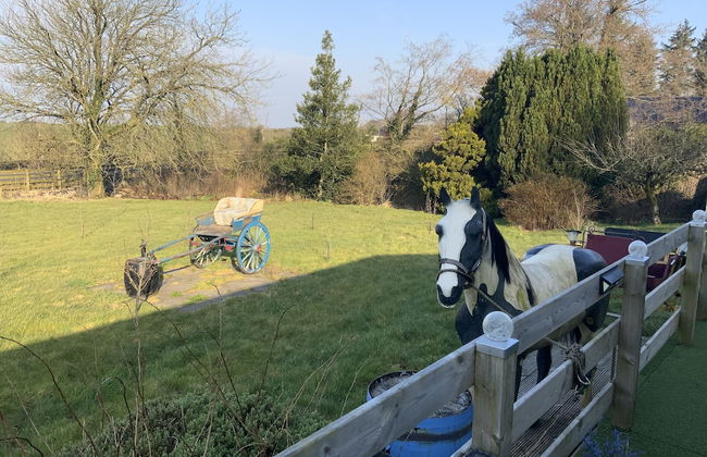 Stunning 2-bed Cottage Countryside Outside Ayr - Foto 41