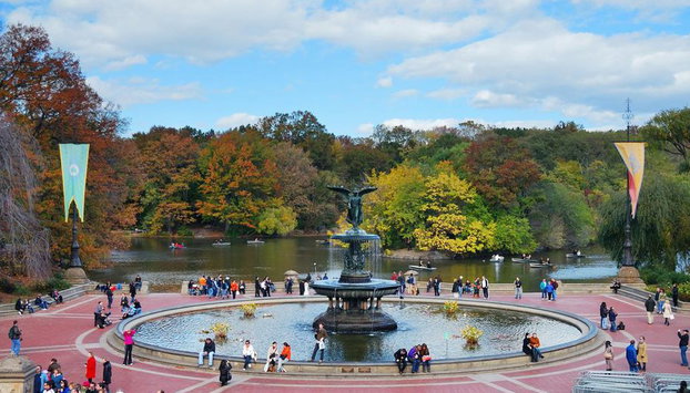 Alquiler de bicicletas en Central Park - Foto 5