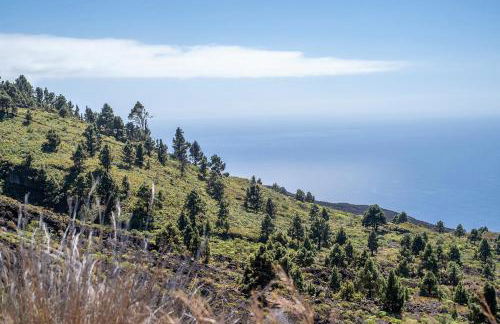 Casa La Podona- A - Foto 30