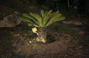 El Secreto del Arroyo - Photo 7